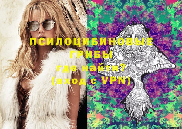 метадон Алексин