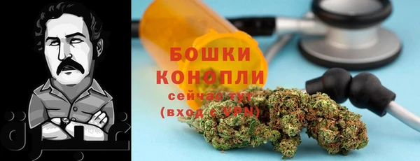 метадон Алексин