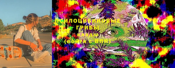 метадон Алексин